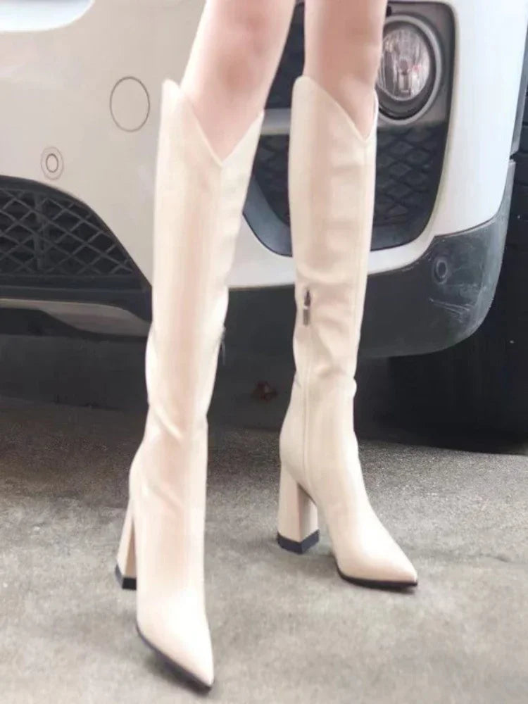 PU Leather Long Boots V-port Pointed Toe Knee High Boots