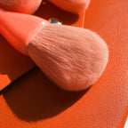 GAHAMACA Makeup Brushes Set 10pcs