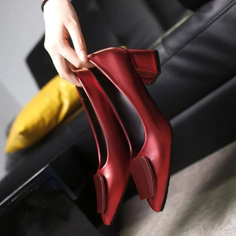 Pointed Toe medium heel flats