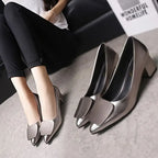Pointed Toe medium heel flats