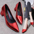 Pointed Toe medium heel flats