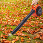 Gas Leaf Blower