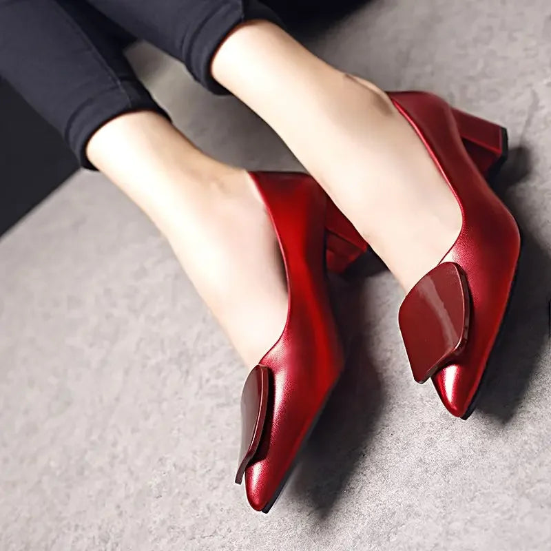 Pointed Toe medium heel flats