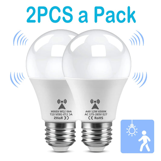 2PCS /Pack LED Bulb Light E