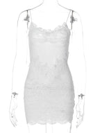 Short Mesh Lace Evening Dresses