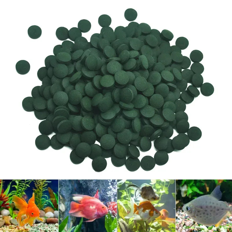 100-500PCS Spirulina Tablets