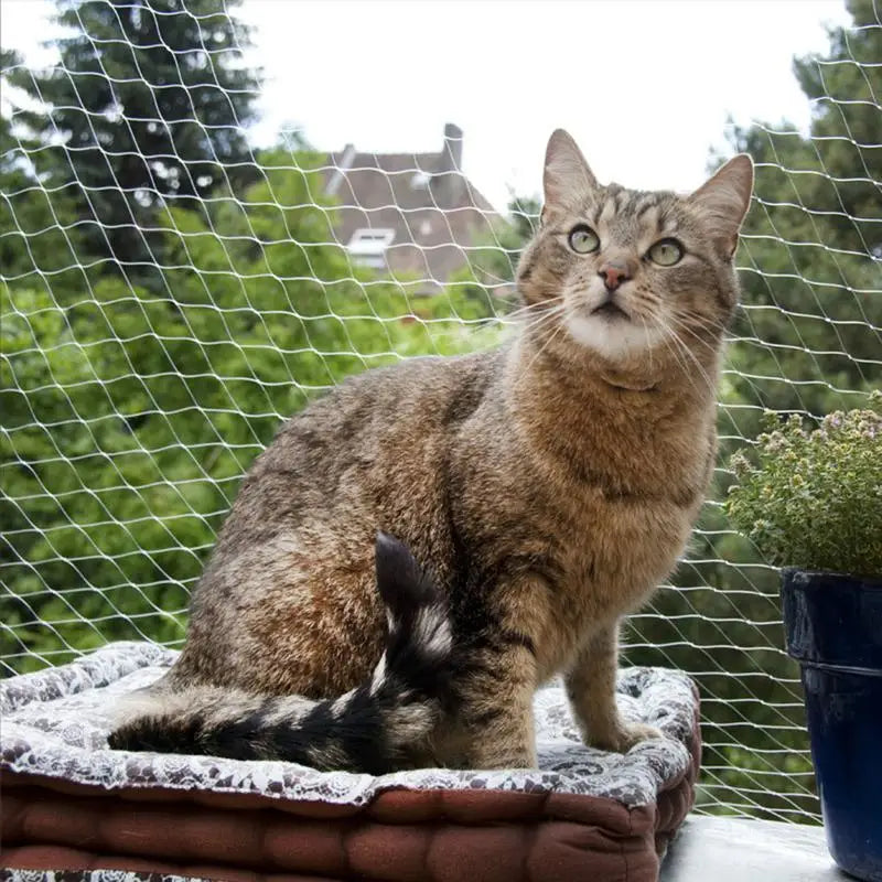 Pet Safety Protection Net Cat