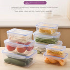 Sealed Rectangular Refrigerator Food Container