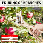 Grafting Tools For Fruit Trees