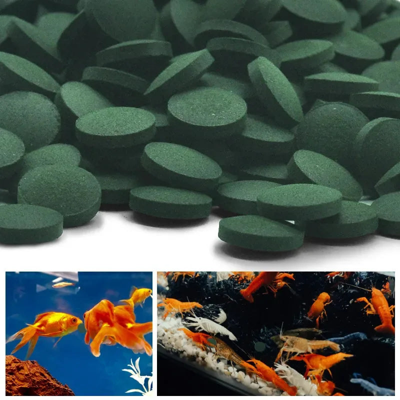 100-500PCS Spirulina Tablets