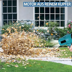 Electric Air Blower