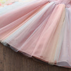 Mesh Summer Puffy Rainbow Dress