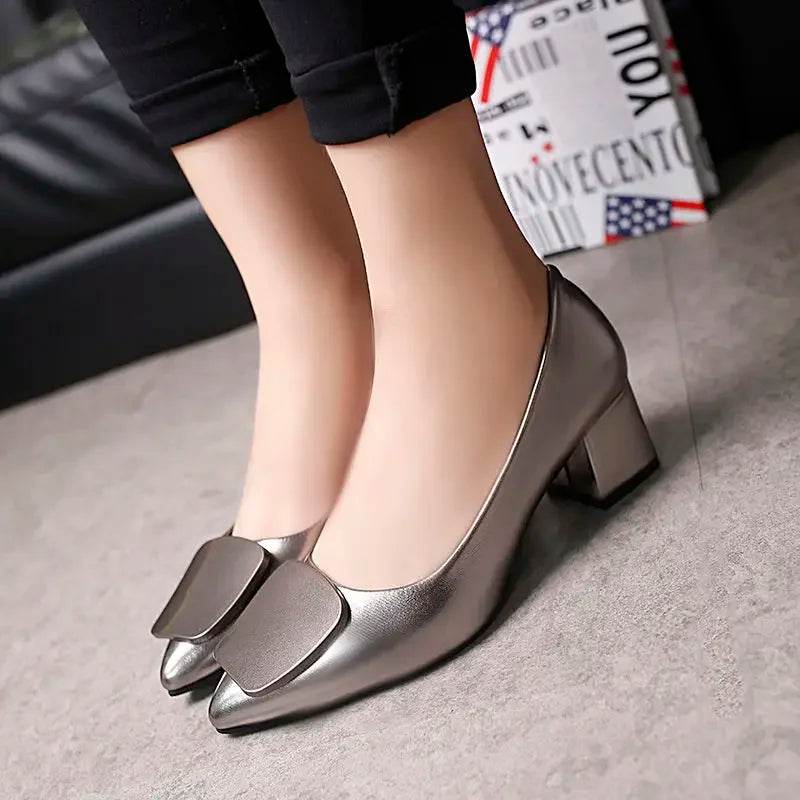 Pointed Toe medium heel flats