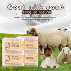 Organic Goat Milk Soap Bar