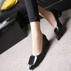 Pointed Toe medium heel flats