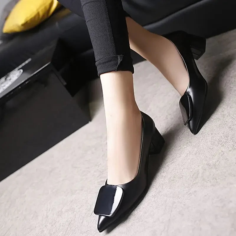 Pointed Toe medium heel flats