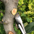 2 in 1 Bonsai Cutter Wear Resistant Ergonomic Handle
