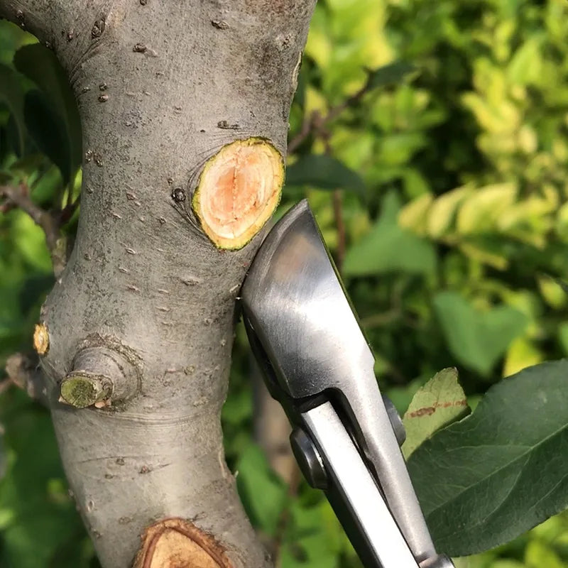 2 in 1 Bonsai Cutter Wear Resistant Ergonomic Handle