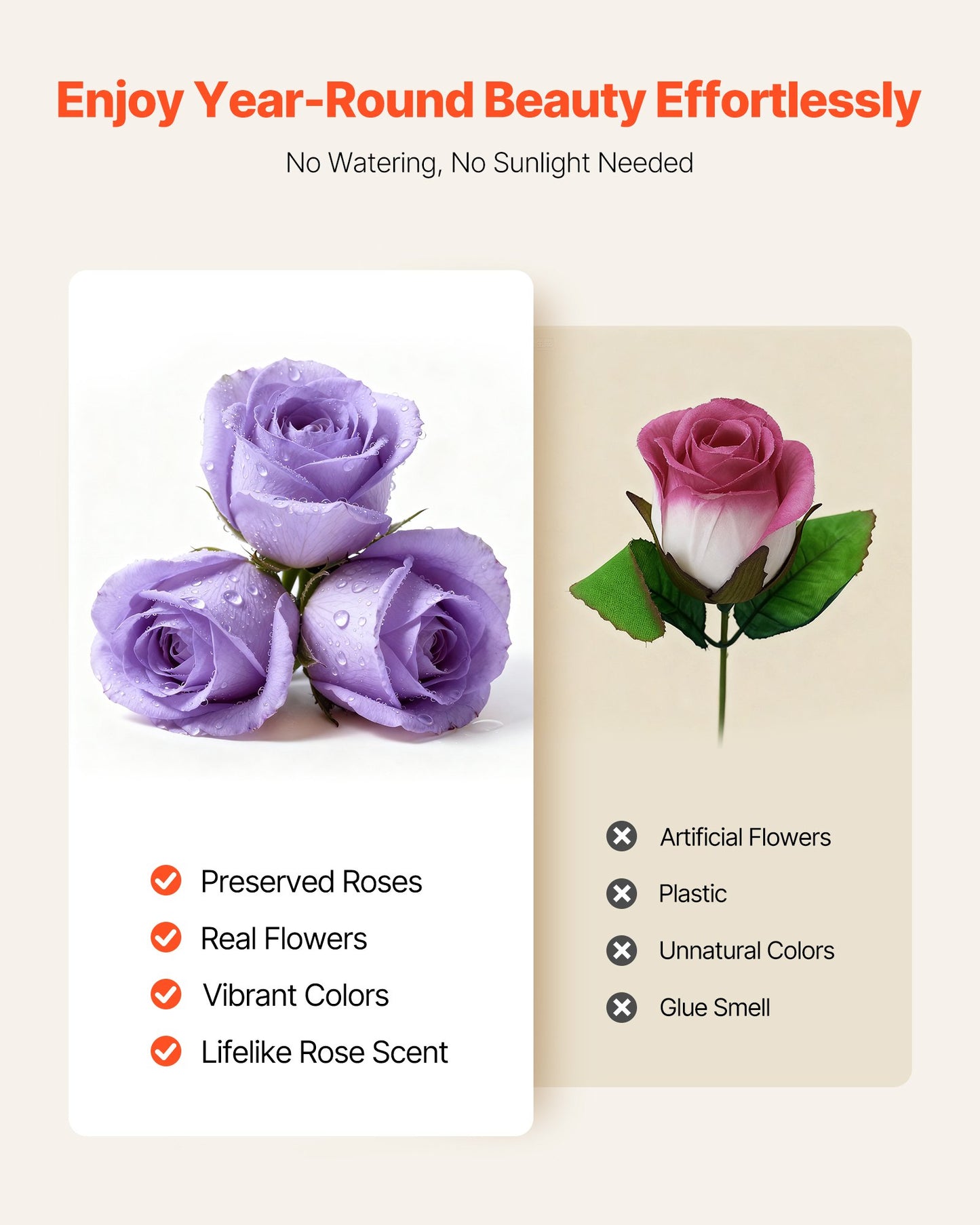 Forever Flowers, 50 Preserved Roses In A Box